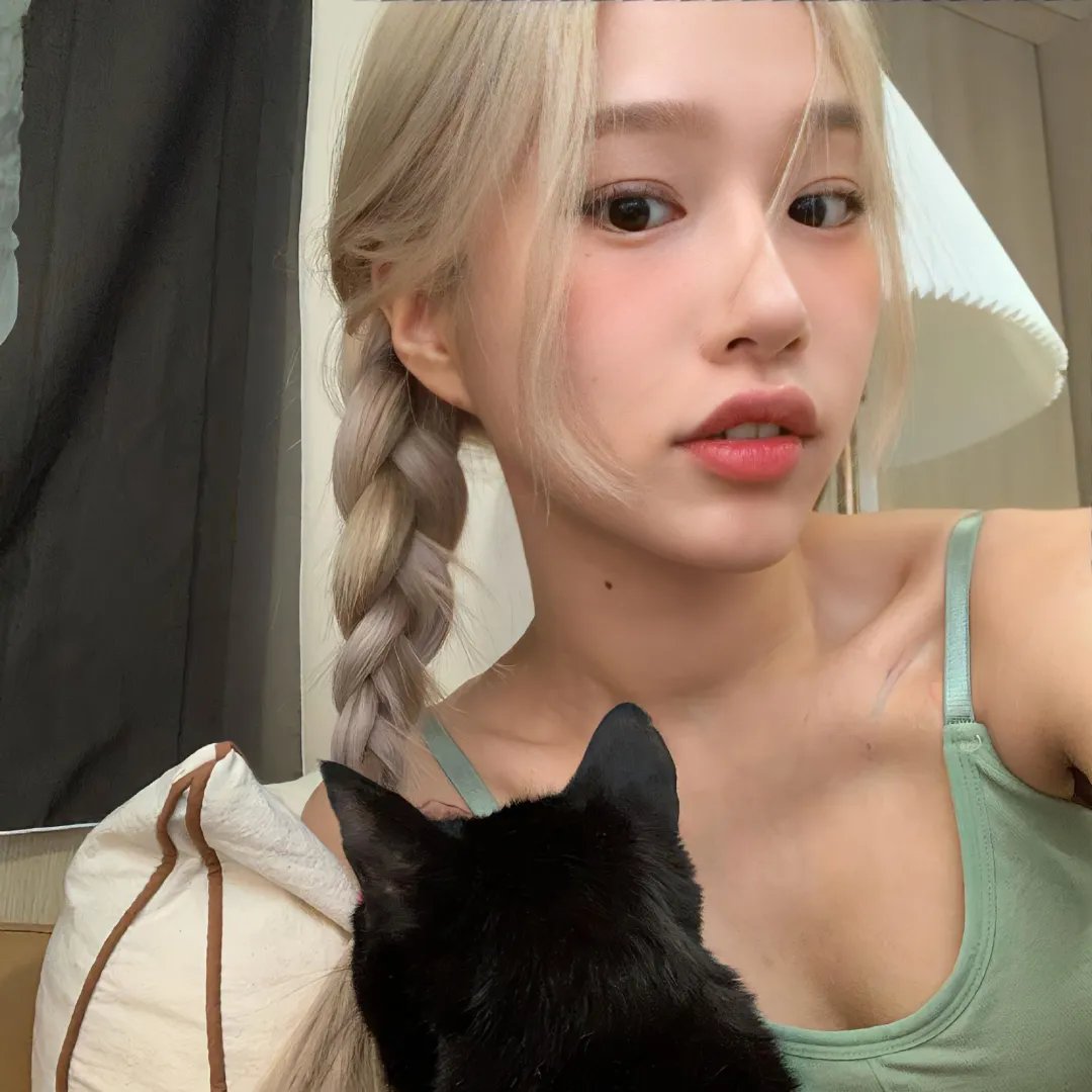 猫儿协奏曲