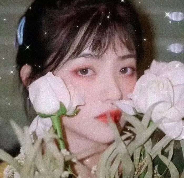 阿珠与阿花前传